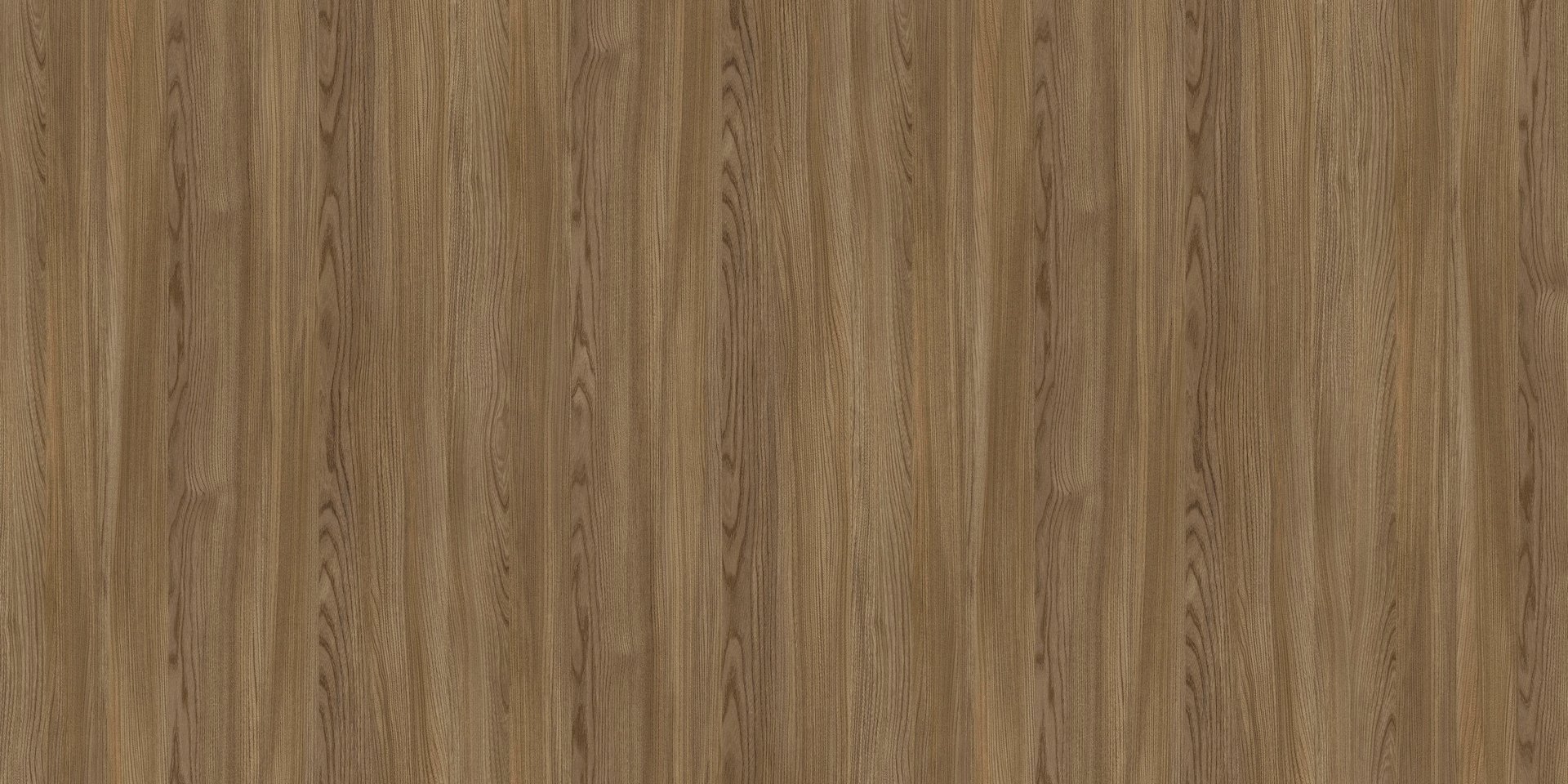 Elm wooden texture with natural pattern